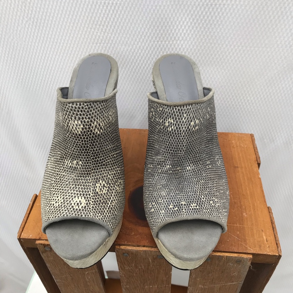 Rhonda Ochs size 10, grey snake skin wedge